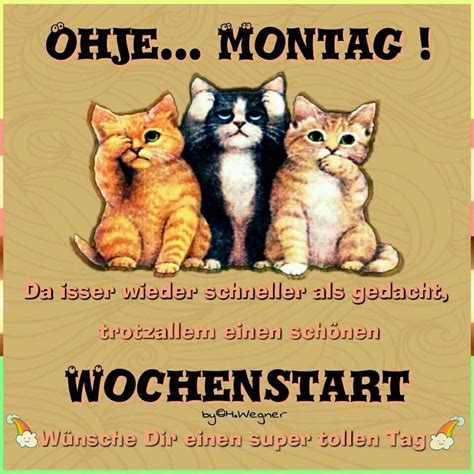 guten morgen montag bilder kostenlos